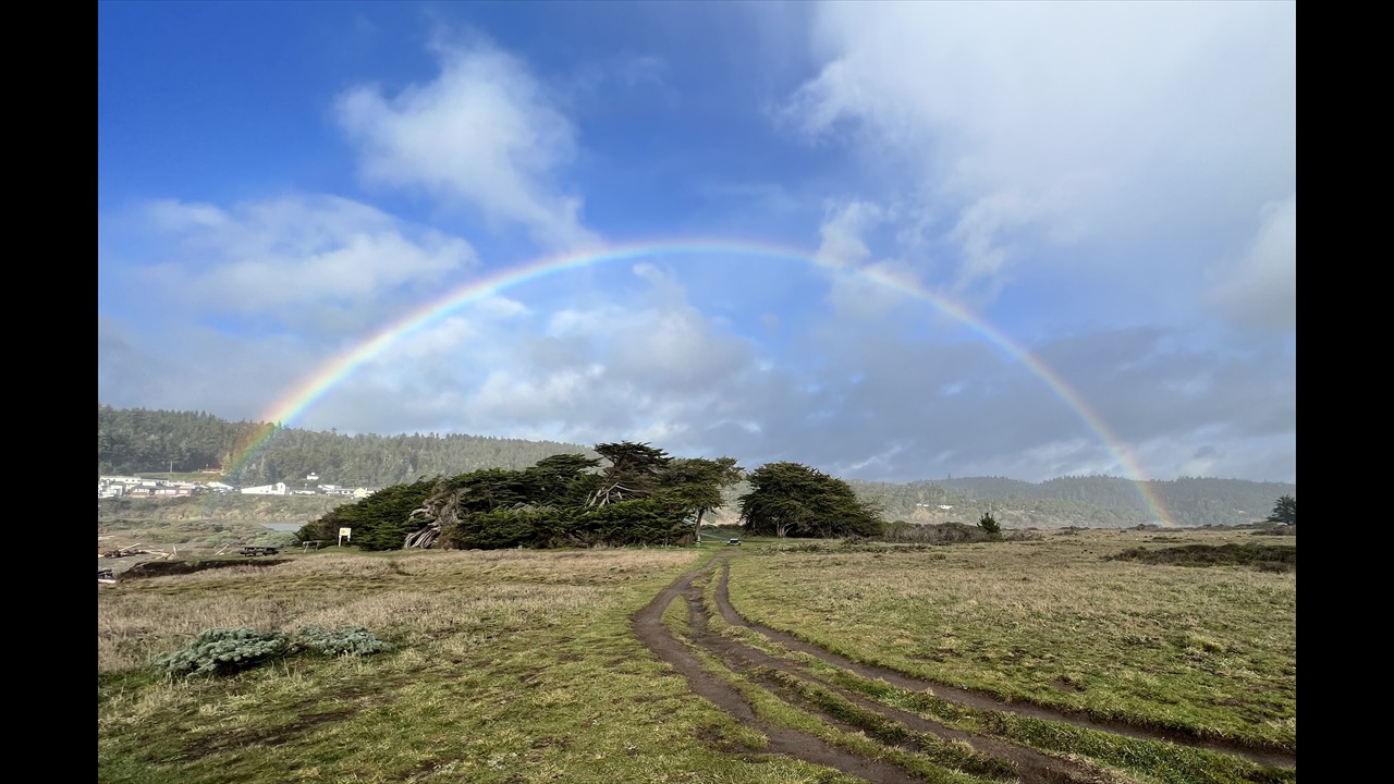 Rainbow at Gualala Point Regional Park by Carolyn Case